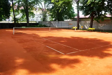 Antukový kurt